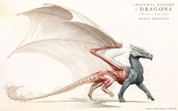 BrennanM-LT1-ANaturalHistoryOfDragons-Poster