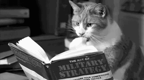 CatReadingStrategy