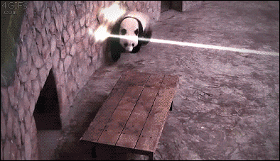 PandaUnderHeavyFire