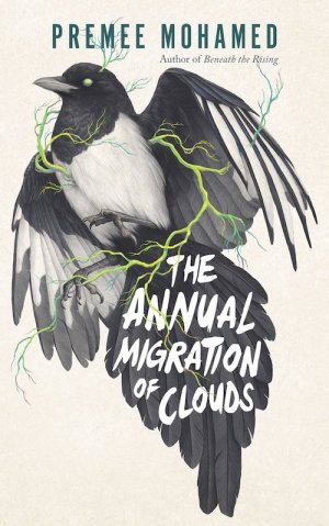 MohamedP-AnnualMigrationOfCloudsCA